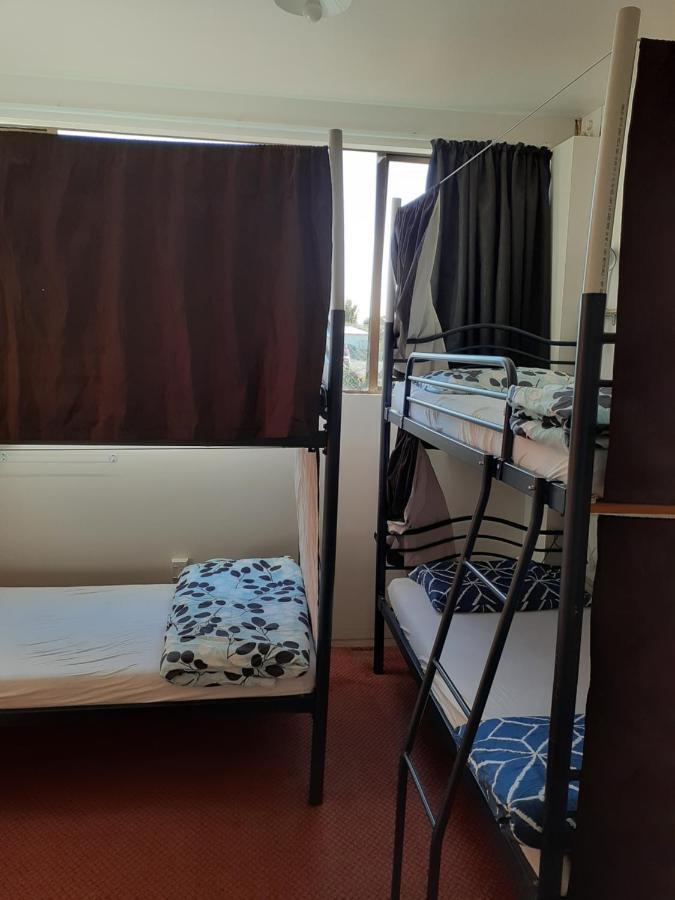 بيت شباب Bouncing Lamb Backpackers نيلسون المظهر الخارجي الصورة