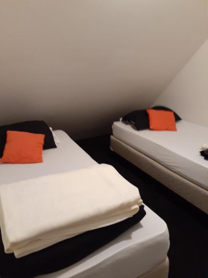 بيت شباب Bouncing Lamb Backpackers نيلسون المظهر الخارجي الصورة